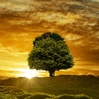 Bjørn Kristian Bårdseng