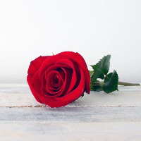 Ann Mari Svendheim Strøm